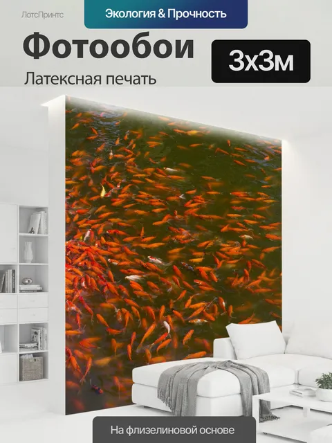 300 × 300 см · Латексная печать