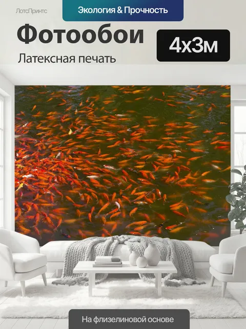 400 × 300 см · Латексная печать