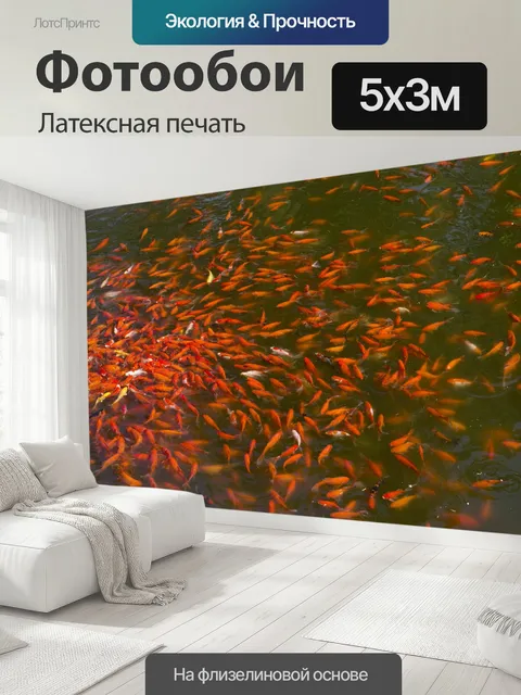 500 × 300 см · Латексная печать