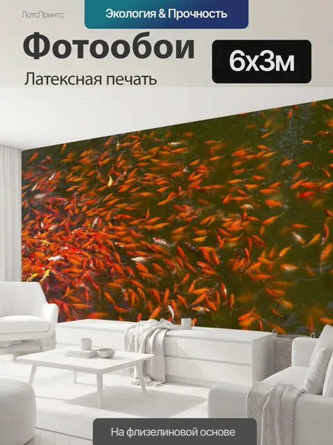 600 × 300 см · Латексная печать