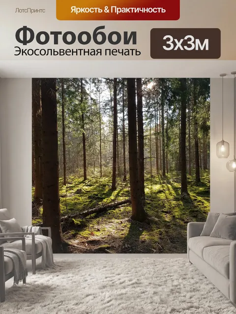 Фотообои Лес, дерево, природа