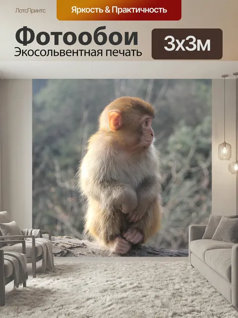 Фотообои Обезьяна, чжанцзяцзе, животное