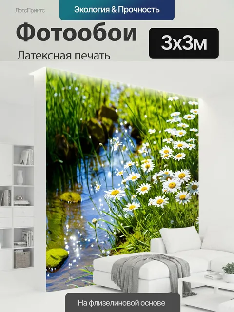 300 × 300 см · Латексная печать