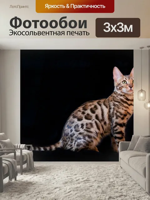 Фотообои Бенгальская кошка, котенок, б