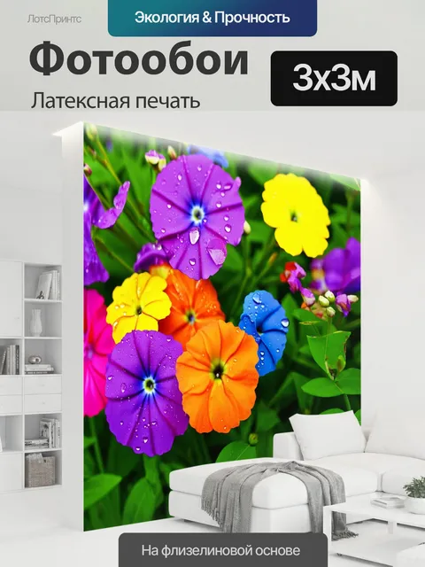 300 × 300 см · Латексная печать