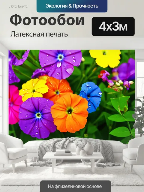 400 × 300 см · Латексная печать