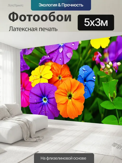 500 × 300 см · Латексная печать