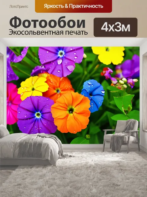 400 × 300 см · Экосольвентная печать