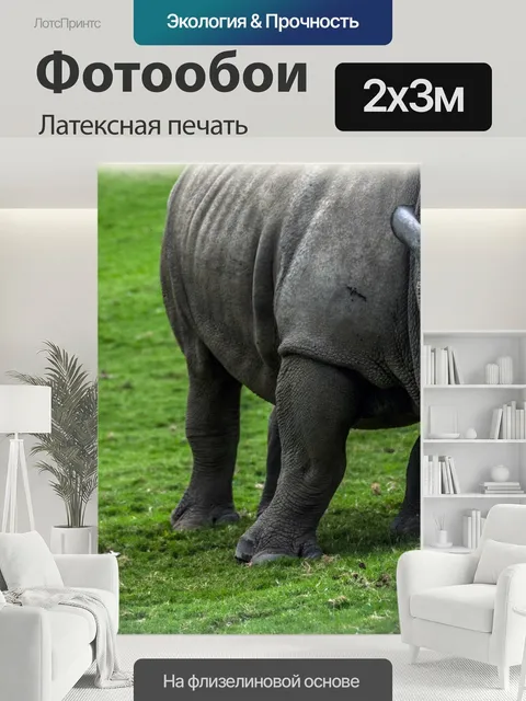 200 × 300 см · Латексная печать