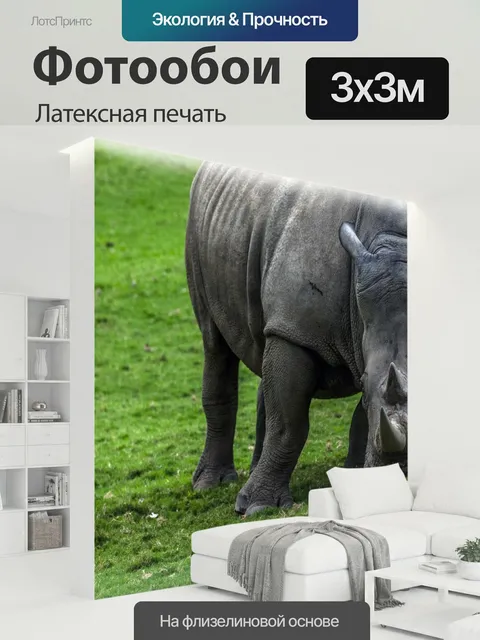 300 × 300 см · Латексная печать