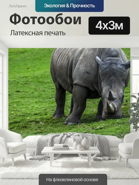 400 × 300 см · Латексная печать