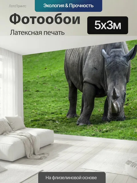 500 × 300 см · Латексная печать