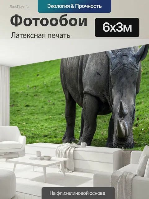 600 × 300 см · Латексная печать