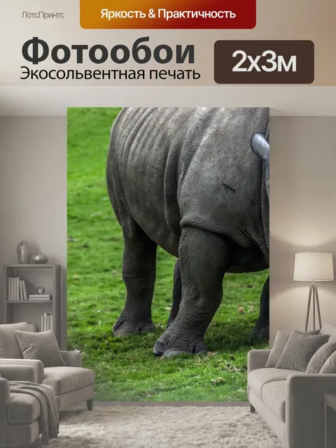 200 × 300 см · Экосольвентная печать