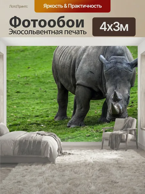 400 × 300 см · Экосольвентная печать