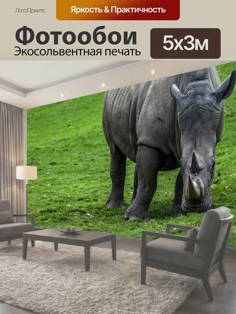 Фотообои Носорог взрослый