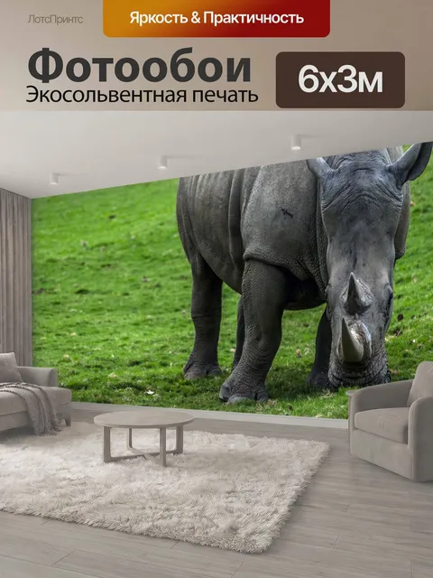 600 × 300 см · Экосольвентная печать