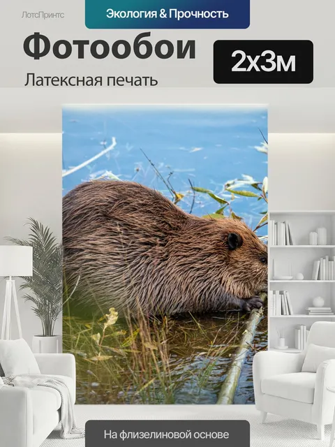 200 × 300 см · Латексная печать