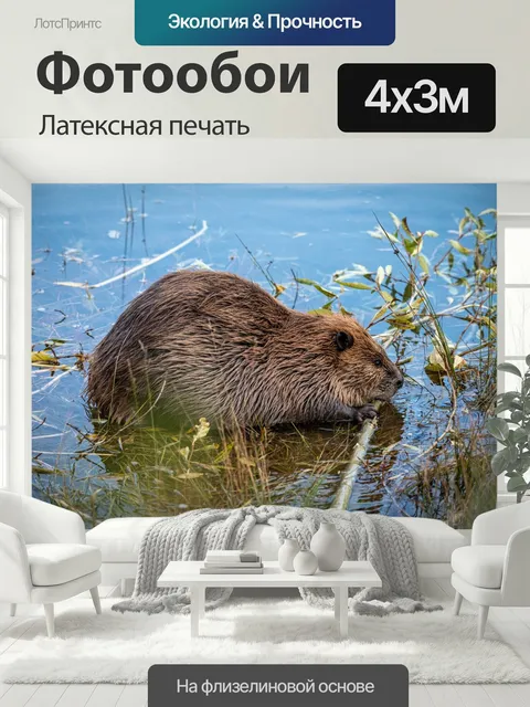 400 × 300 см · Латексная печать