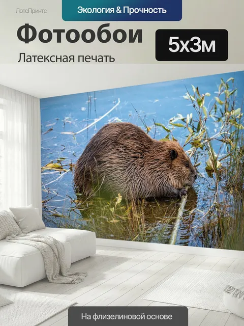 500 × 300 см · Латексная печать