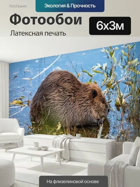 600 × 300 см · Латексная печать