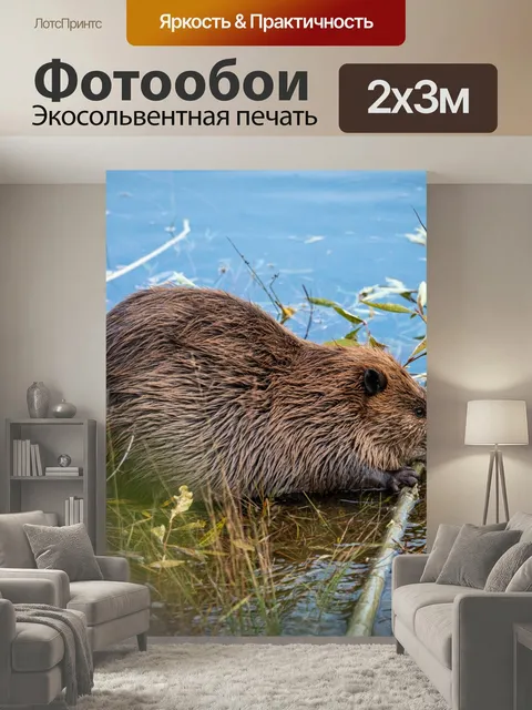 200 × 300 см · Экосольвентная печать