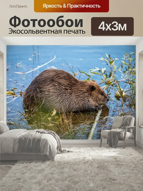 400 × 300 см · Экосольвентная печать