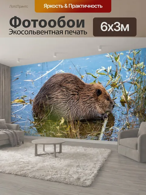 600 × 300 см · Экосольвентная печать