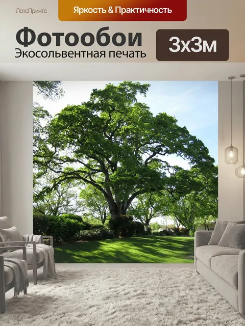 Фотообои Дерево, природа, дуб