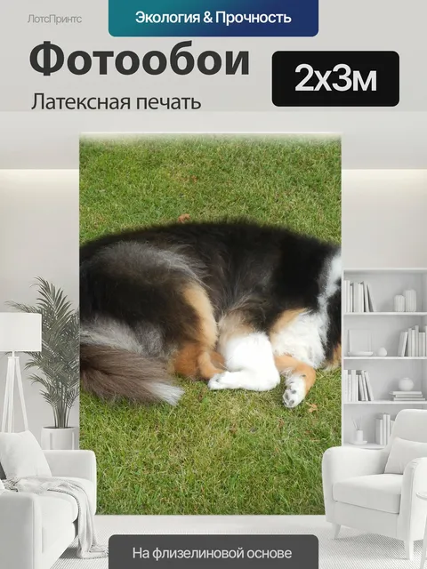 200 × 300 см · Латексная печать