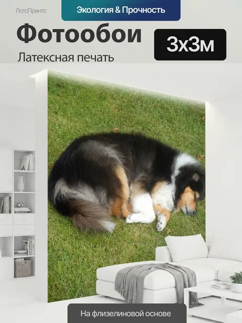 300 × 300 см · Латексная печать