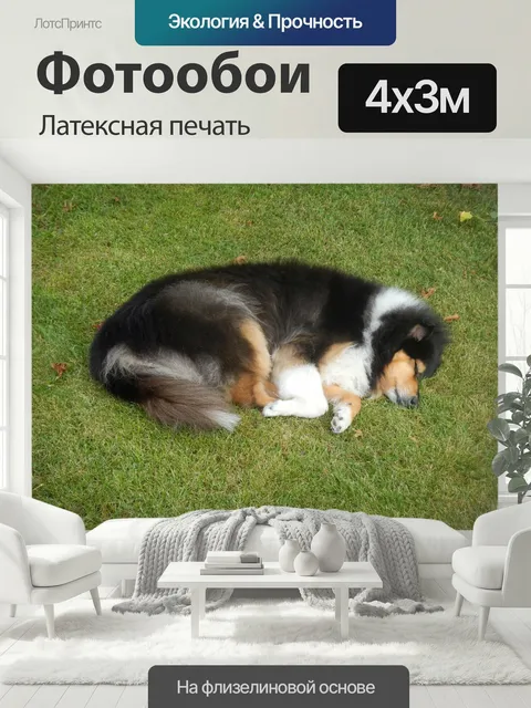 400 × 300 см · Латексная печать