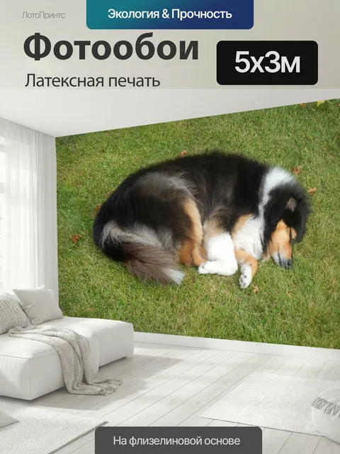 500 × 300 см · Латексная печать