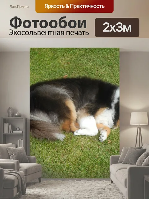 200 × 300 см · Экосольвентная печать