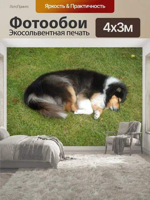 400 × 300 см · Экосольвентная печать
