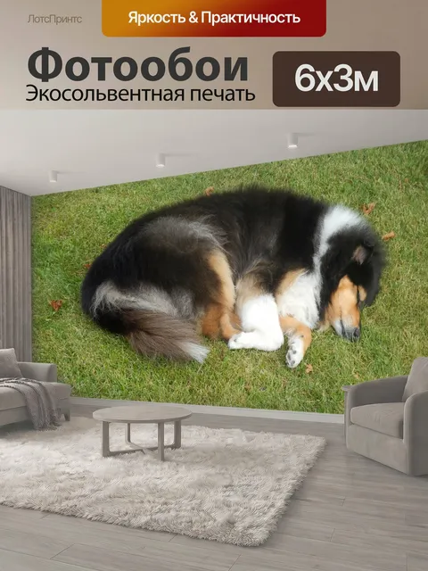 600 × 300 см · Экосольвентная печать