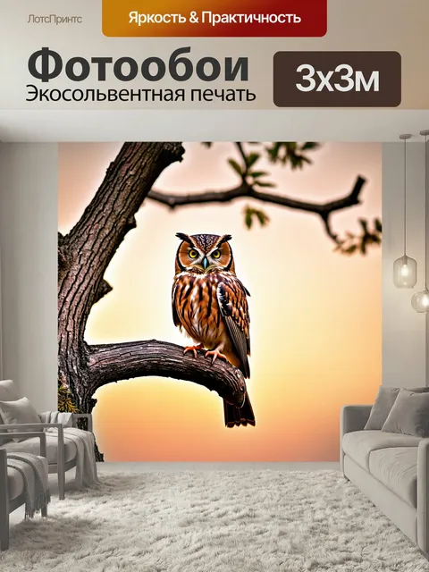 Фотообои Коричневый мудрый сова на обветренной ветке дерева в время заката