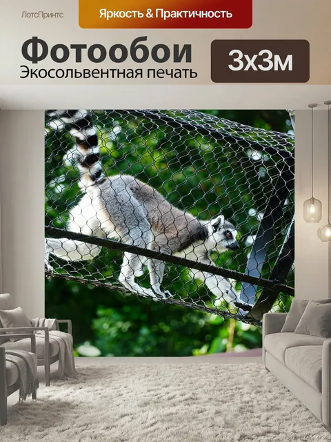 Фотообои Лемур, животное, зоопарк