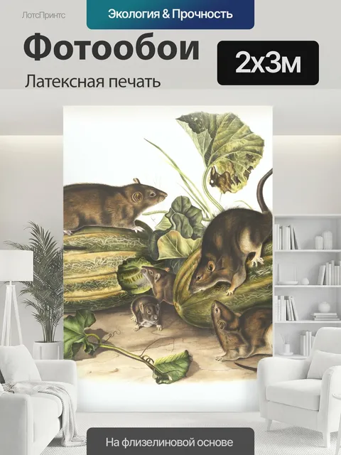 200 × 300 см · Латексная печать