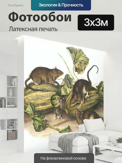 300 × 300 см · Латексная печать