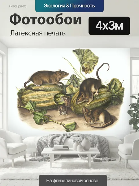 400 × 300 см · Латексная печать