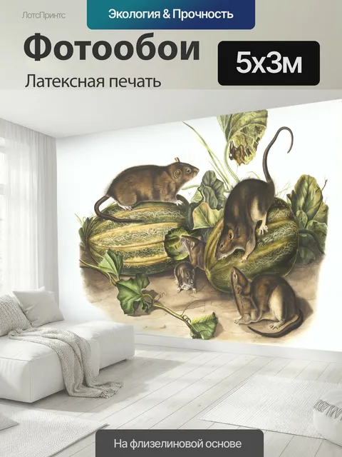 500 × 300 см · Латексная печать