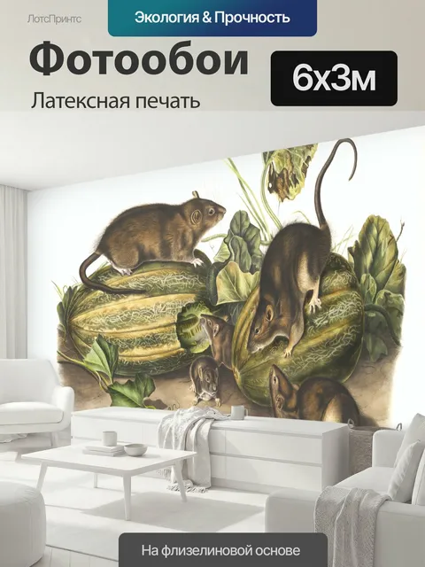600 × 300 см · Латексная печать