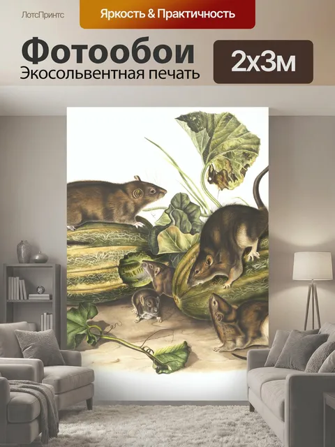 200 × 300 см · Экосольвентная печать