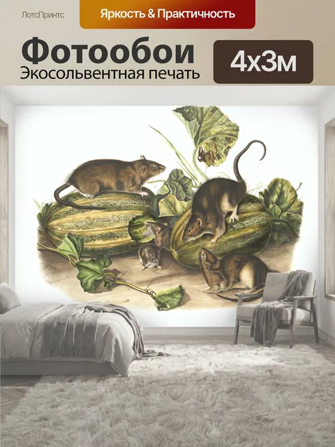 400 × 300 см · Экосольвентная печать