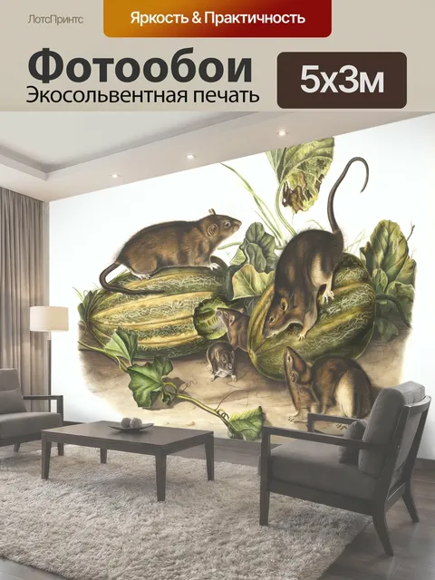 Фотообои Мышь крыса винтажное искусство