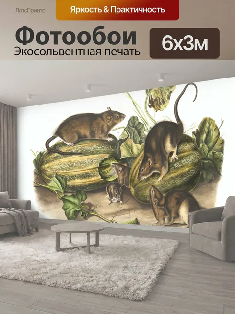 600 × 300 см · Экосольвентная печать