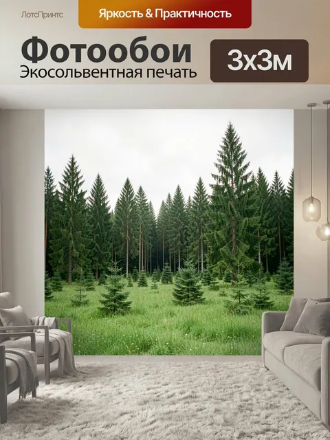Фотообои Хвойный лес и зеленая поляна. Еловый массив с высокими стройными деревьями и молодой порослью на травянистой …