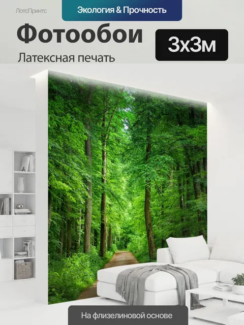 300 × 300 см · Латексная печать