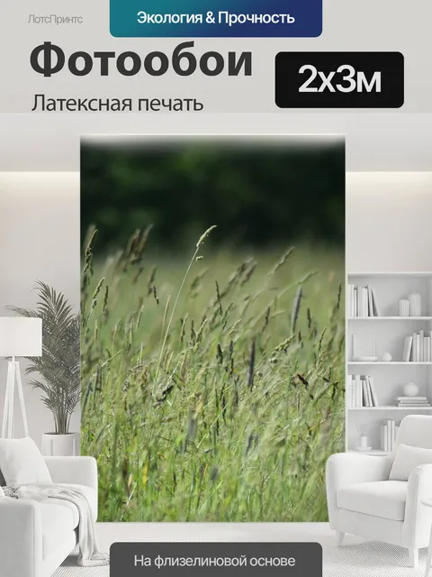 200 × 300 см · Латексная печать